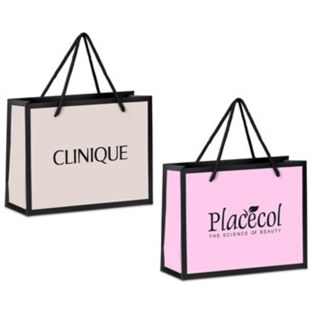 Regis Premium Mini Paper Gift Bag