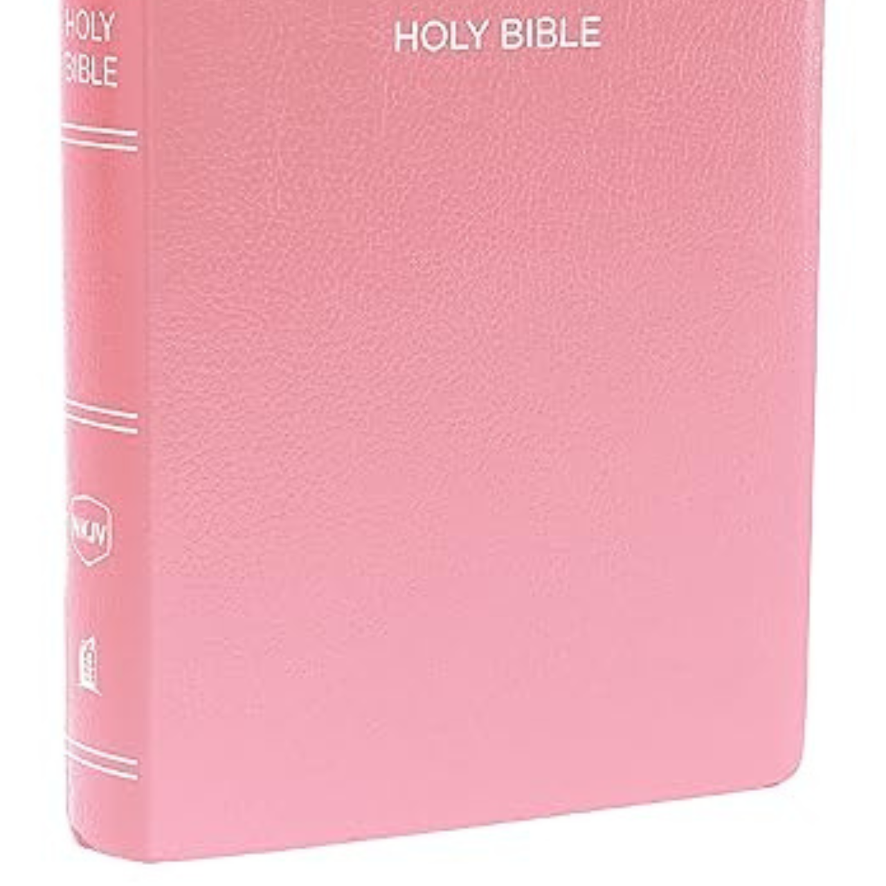 Personalised Bible